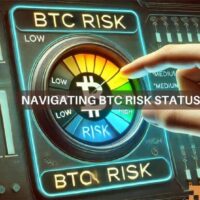 Bitcoin's risk dynamics: Safe haven or speculative bet?