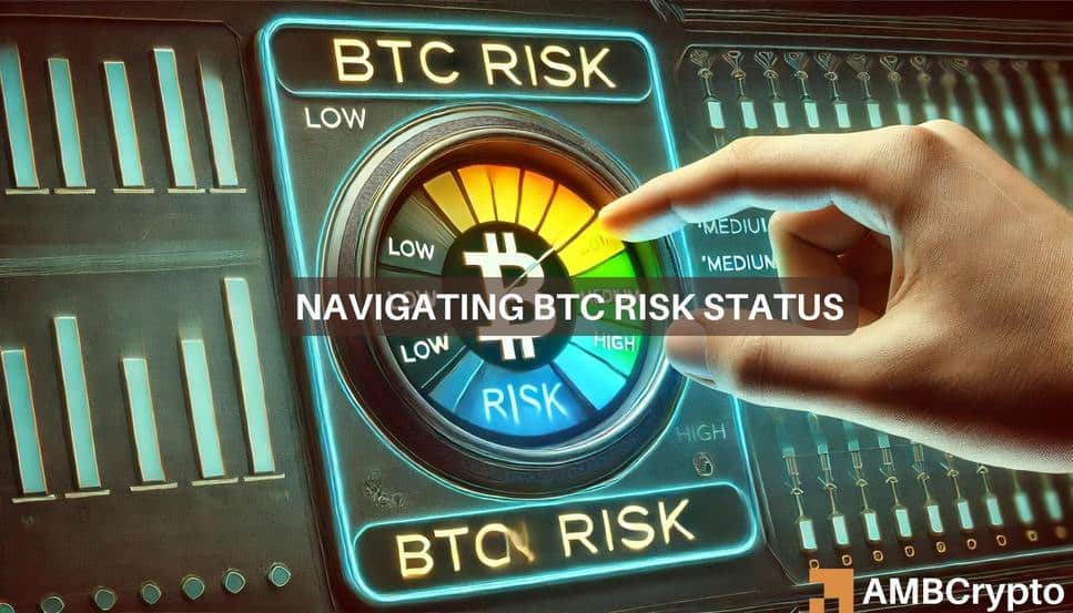 Bitcoin's risk dynamics: Safe haven or speculative bet?