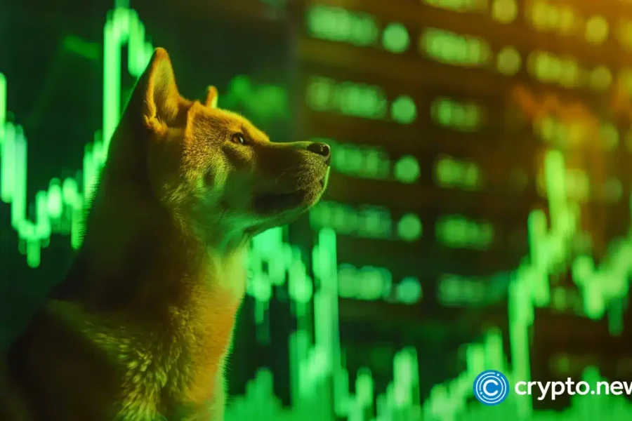 Memebet token benefits from Shiba Inu rally as it raises $300k in presale