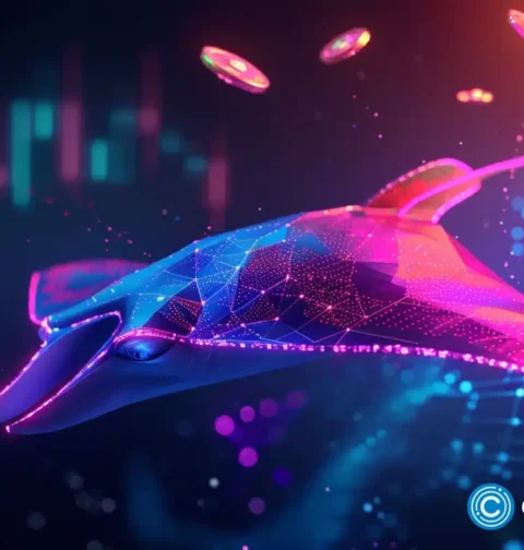 Manta Network launches 4-year Gas Gain program