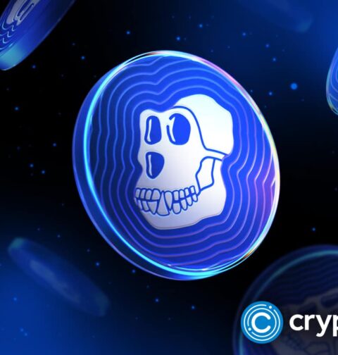 Turtle-themed Speedy, Bored Ape’s ApeCoin spike over 100%